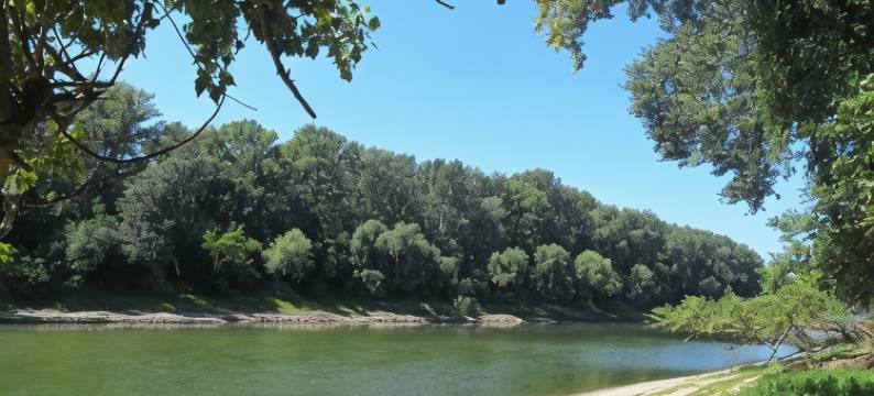 Élő Tisza Vendégház图片