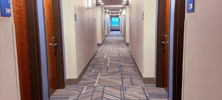 凯尼迪智选假日酒店(Holiday Inn Express Kenedy by IHG)图片