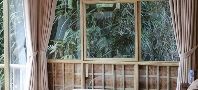 Dinh Gia Trang - Homestay & Coffee图片