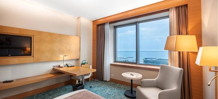 巴库假日酒店(Holiday Inn Baku)图片