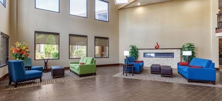 华纳罗宾斯-罗宾斯空军基地地区舒适酒店(Comfort Inn Warner Robins - Robins Air Force Base Area)图片