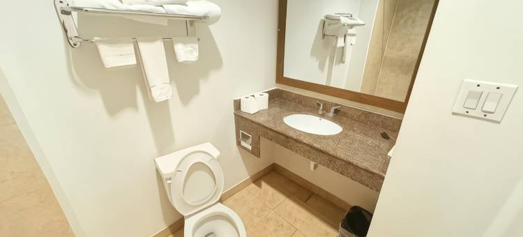 韦斯特伍德旅馆长期住宿冈萨雷斯TX(Westwood Inn Extended Stay Gonzales TX)图片
