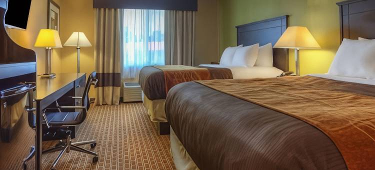 品质酒店及套房查塔努加-东岭(Quality Inn & Suites Chattanooga-East Ridge)图片