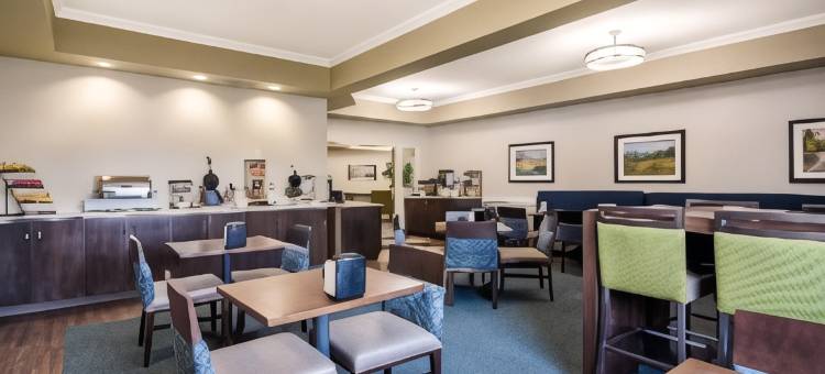 红鹿舒适套房酒店(Comfort Inn & Suites)图片