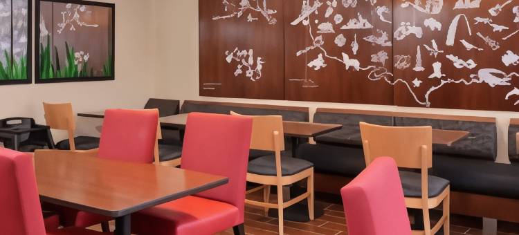 底特律商业区TownePlace套房酒店(TownePlace Suites Detroit Commerce)图片