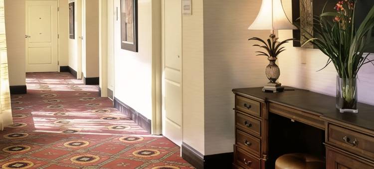 图珀洛希尔顿花园酒店(Hilton Garden Inn Tupelo)图片