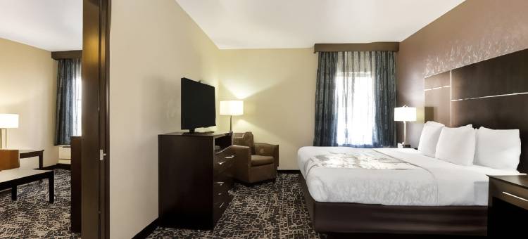 丹佛盖特威公园拉昆塔温德姆套房酒店(La Quinta Inn & Suites by Wyndham Denver Gateway Park)图片