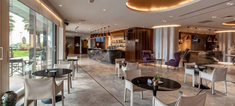 伊斯坦布尔阿塔科丽笙蓝标酒店(Radisson Blu Hotel Istanbul Ottomare)图片