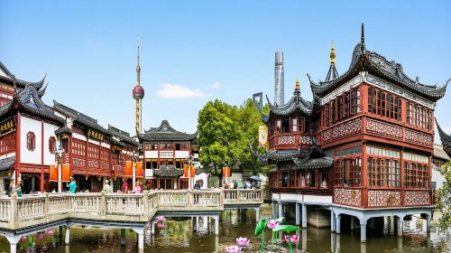 上海同城陪玩/伴游/地陪/旅游/向导/导游/中英等多语种导游/全国地接/私人定制线路推荐【携程玩乐】
