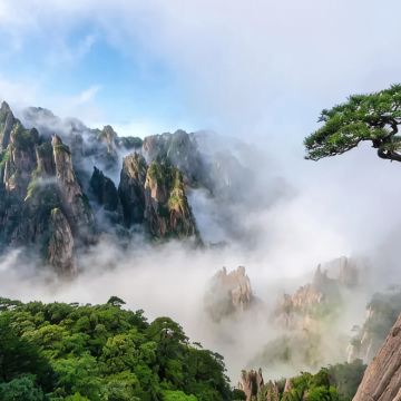 黄山+宏村+九华山5日4晚拼小团