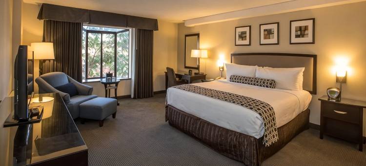 康科德核桃溪万怡酒店(Courtyard by Marriott Concord Walnut Creek)图片