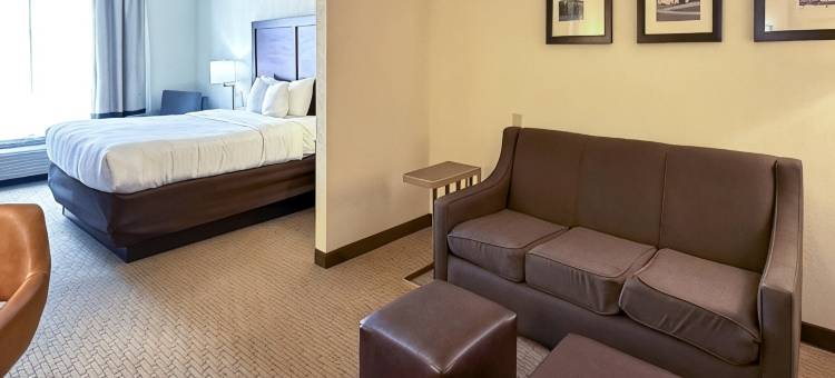 舒适酒店及套房罗杰斯维尔(Comfort Inn & Suites)图片