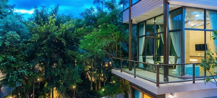 清迈-树景度假村(TreeScape Resort Chiang Mai)图片