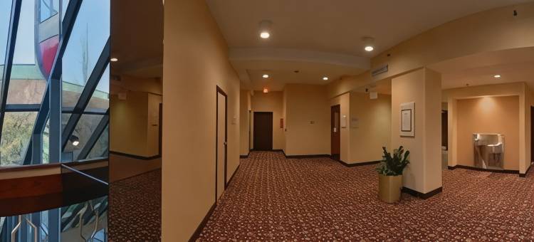 西雅图机场希尔顿逸林酒店(DoubleTree by Hilton Seattle Airport)图片