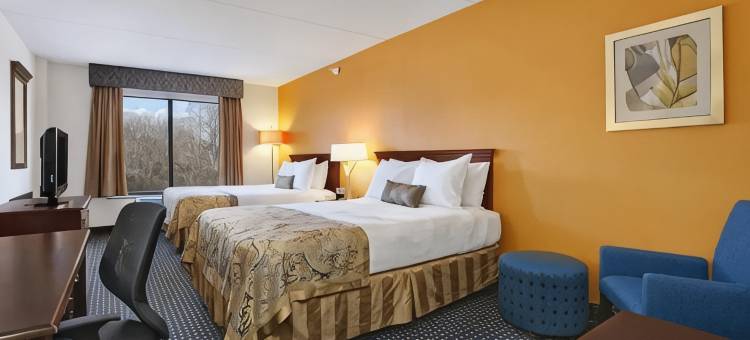沃里斯/芒特劳雷尔舒适套房酒店(Comfort Inn & Suites Voorhees/Mt. Laurel)图片