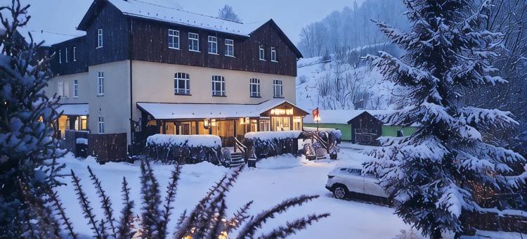 赛夫纳霍夫酒店(Hotel Seiffener Hof)图片