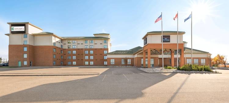埃德蒙顿机场皇家璀蔓臻选温德姆酒店(Royal Hotel Edmonton Airport Trademark Collection by Wyndham)图片