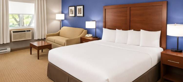 铁山北部的舒适酒店(Comfort Inn)图片
