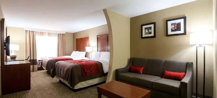 利兹I-20舒适套房酒店(Comfort Inn & Suites Leeds I-20)图片