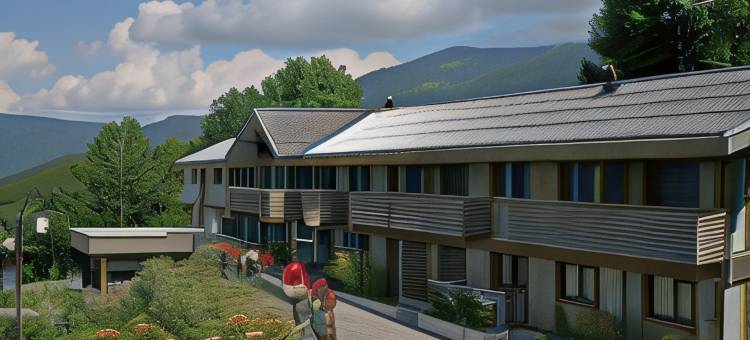 萨沃伊拉克罗伊克斯水疗酒店(La Croix de Savoie & Spa)图片