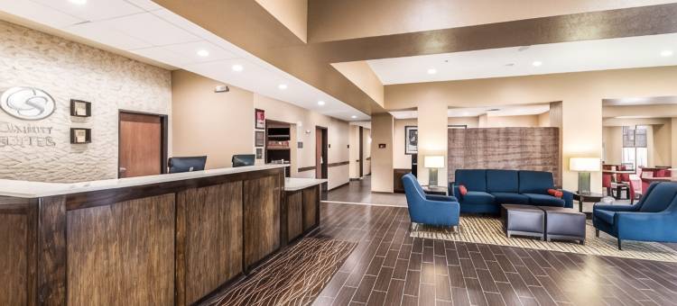 大草原城阿灵顿北部舒适套房酒店(Comfort Suites Grand Prairie - Arlington North)图片