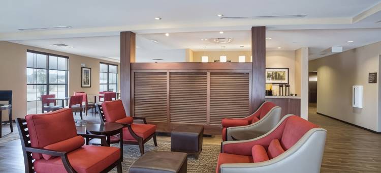 舒适套房酒店(Comfort Inn & Suites Zachary)图片