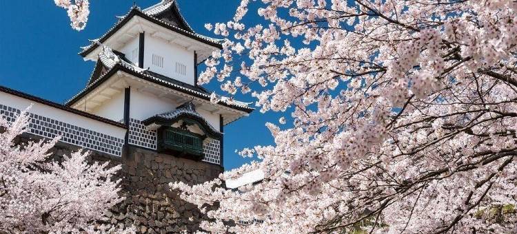 金泽西口站前微笑酒店(Smile Hotel Kanazawa Nishiguchi Ekimae)图片