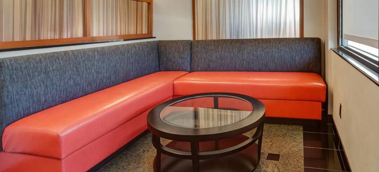 孟菲斯南德鲁里套房酒店(Drury Inn & Suites Memphis Southaven)图片