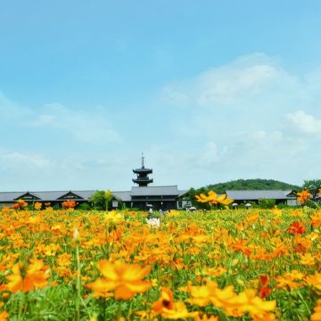 上海+苏州+杭州+无锡+南京+乌镇+迪士尼（Disney）7日6晚跟团游