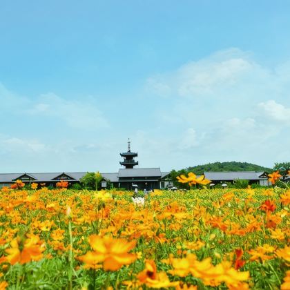 上海+苏州+杭州+无锡+南京+乌镇+迪士尼（Disney）7日6晚跟团游