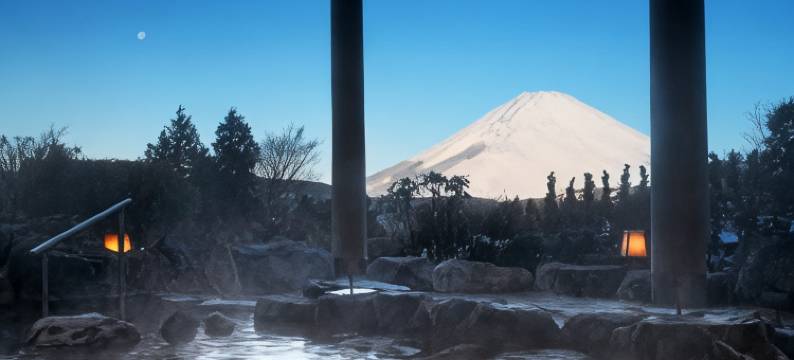 箱根绿色广场酒店(Hotel Green Plaza Hakone)图片