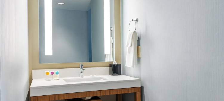 亚特兰大百年纪念公园凯悦嘉轩酒店(Hyatt Place Atlanta Centennial Park)图片