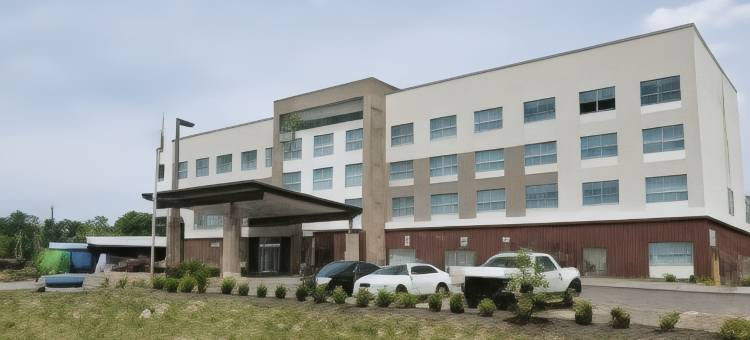 洲际酒店集团智选假日酒店及套房纳什维尔北 - 斯普林菲尔德(Holiday Inn Express & Suites Nashville North - Springfield by IHG)图片