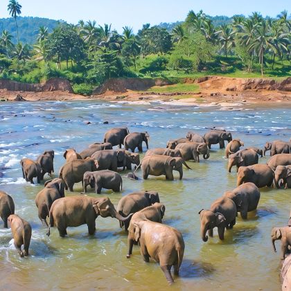 斯里兰卡6日5晚私家团