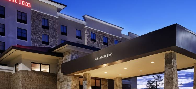 特克萨卡纳希尔顿花园酒店(Hilton Garden Inn Texarkana)图片