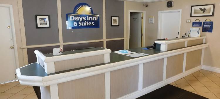 阿灵顿高地戴斯套房酒店(Days Inn & Suites by Wyndham Arlington Heights)图片