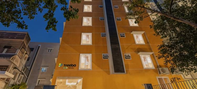 Treebo高级瓦普尔阿育王纳加尔(Treebo Premium Vapr Ashok Nagar)图片