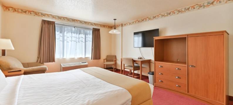 墨菲套房酒店(Murphys Suites)图片