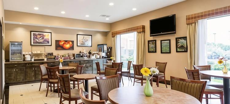 舒适套房酒店(Comfort Inn & Suites)图片