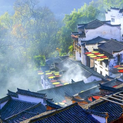 黄山风景区+宏村景区+婺源篁岭景区+千岛湖景区5日4晚跟团游