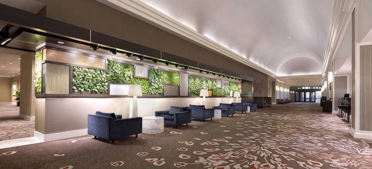 奥黑尔威斯汀酒店(The Westin O'Hare)图片