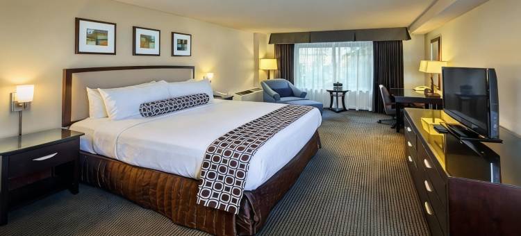 康科德广场费尔布里奇酒店(FairBridge Hotel by Concord Plaza)图片