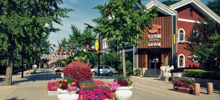 大连喜点酒店(大连中山广场地铁站鲁迅路店)图片
