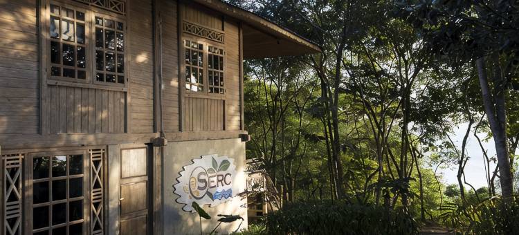 曼赞甘生态旅馆(Menjangan Ecolodge)图片