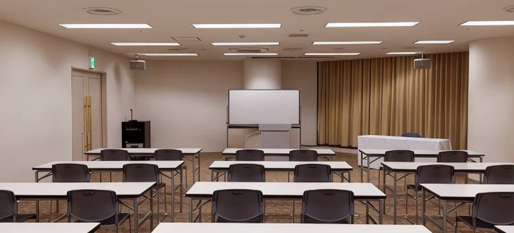 利夫马克斯经济型酒店-鹿儿岛店(HOTEL LiVEMAX BUDGET Kagoshima)图片