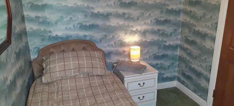 Executive House,WiFi,Superb Views,Pets O.K.Walk into Llanrwst.Sleeps 7+Baby/cot图片