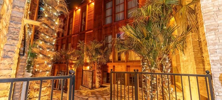棕榈第比利斯精品酒店(Palm Tbilisi Boutique Hotel)图片