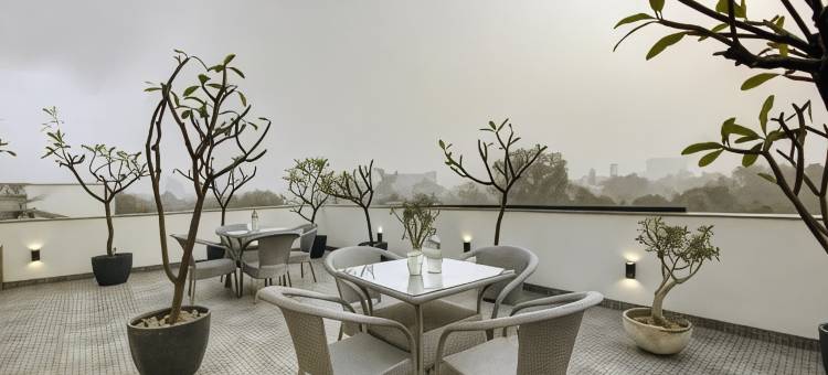 SALTSTAYZ SELECT - NEHRU PLACE & NEW FRIENDS COLONY图片
