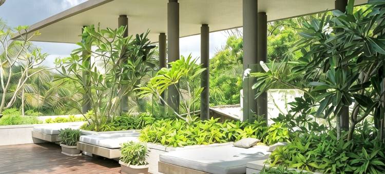 Ziba豪华别墅(Ziba Luxury Villa)图片