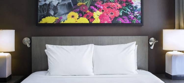 纽约/切尔西凯悦嘉寓酒店(Hyatt House New York/Chelsea)图片